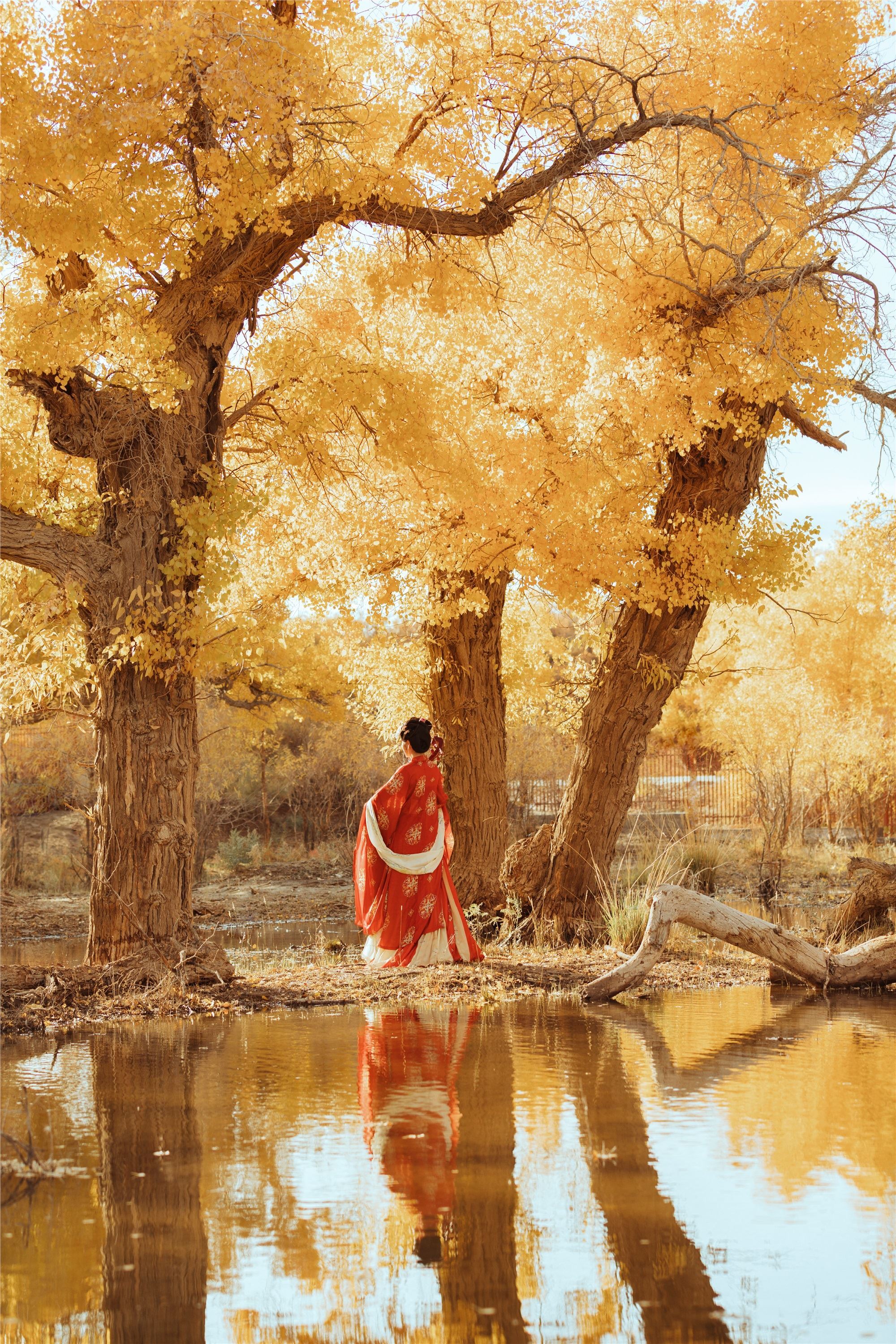 YITUYU艺图语 2021.09.03 岁月不败美人 知秋